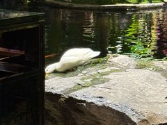 -顺德渔村·岭南一号