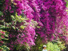 -云南师范大学(一二一西南联大校区)