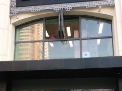 -猫十亿·布偶金渐层·曼基康矮脚猫舍(青年路店)
