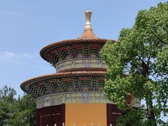 -铁山坪森林公园