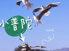 -小普陀