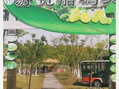 -上海长兴岛郊野公园