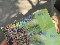 -攀枝花公园