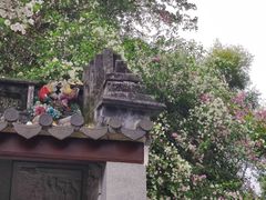 -深圳国际园林花卉博览园