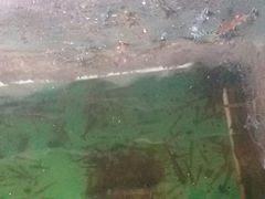 android_upload_pic-蓝湾碧波·老字号·疍家非遗海上餐厅