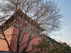 -东华门大街小区