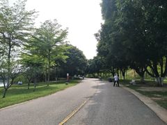 -松山湖南湖湾露营营地