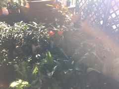 -慢丽江·云南野生菌土鸡锅(西山店)