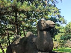 -沈阳市东陵公园