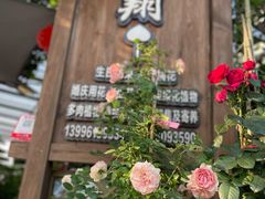 -南山植物园