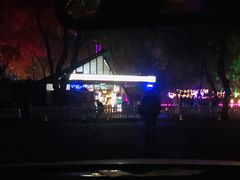 -枫花园汽车电影院(朝阳公园店)