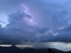 -长虫山生态公园风景林