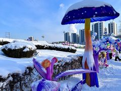 -沈阳奥体冰雪嘉年华