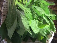-慢丽江·云南野生菌土鸡锅(付家庄店)