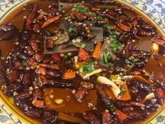 -院8里·少城记忆老川菜(宽窄巷子店)