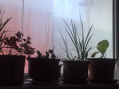 -鲍家老八件菜馆(昌平街店)