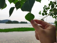 -东湖落雁景区