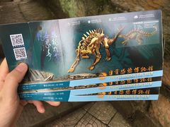 -自贡恐龙博物馆