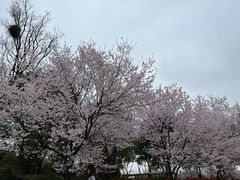-上海野生动物园