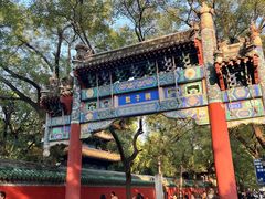 -北京国子监胡同
