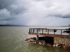 -深圳湾公园(南山区)