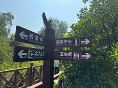 -大亚湾红树林城市湿地公园