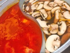 -青瓷火锅料理(西单大悦城店)