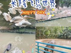 -广州长隆飞鸟乐园