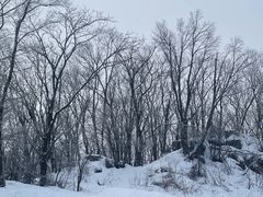-中旅松花湖滑雪场