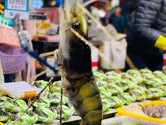 -大湾区中央湿地公园-十九涌