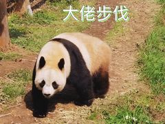 -宁波野生动物园