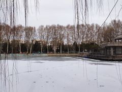 -黄村公园