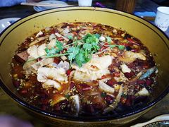 -燕兵眉州肥肠鱼饭店