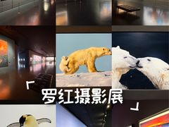 -罗红摄影艺术馆