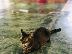 -ခြောက်ထပ်ကြီးရွှေသာလျောင်းဘုရားကြီး