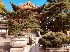 -上海东林寺(金山区)