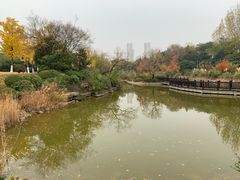 -徐州龟山景区