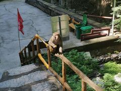 -北京上方山国家森林公园
