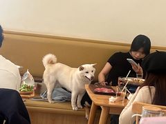 -柴の食堂·日式家庭料理·熊之肆(大学路店)