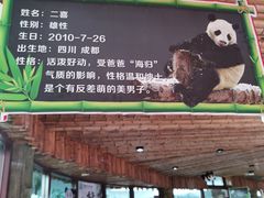 -济南野生动物世界