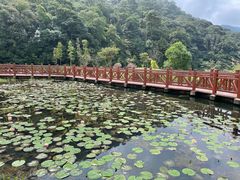 -广州市石门国家森林公园