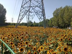 -长白岛森林公园