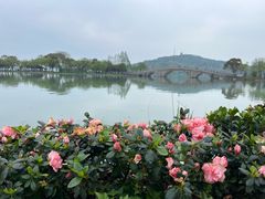 -渤公岛生态公园