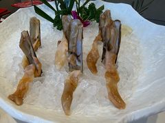竹蛏-纯味斑鱼府(中海环宇荟店)