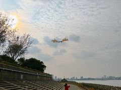 -上海滨江森林公园