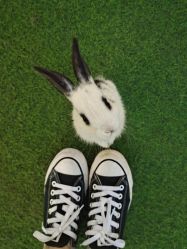 -萌宠亲子动物乐园(槐房万达店)