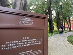 -北京市劳动人民文化宫(太庙)