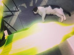 -UNI UNI(环亚凯瑟琳店)