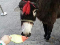 android_upload_pic-大舞台剧场