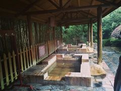 -金孔雀温泉旅游度假村